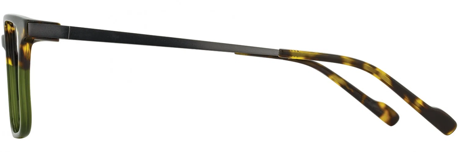 Scott Harris SH738 Eyeglasses - view 11